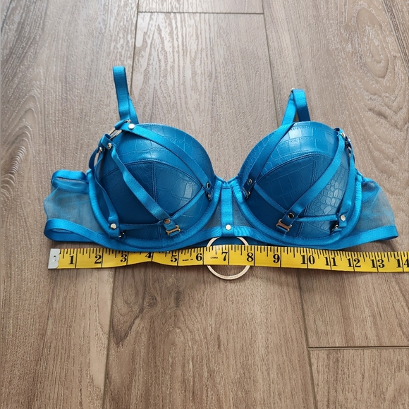 Honey Birdette 💋SET💋 Mistress T blue bra 34C/34D/S NWT - Picture 12 of 13